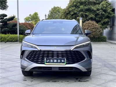 2024 BYD Şarkı L DM-i 112km Transcend Sürümü